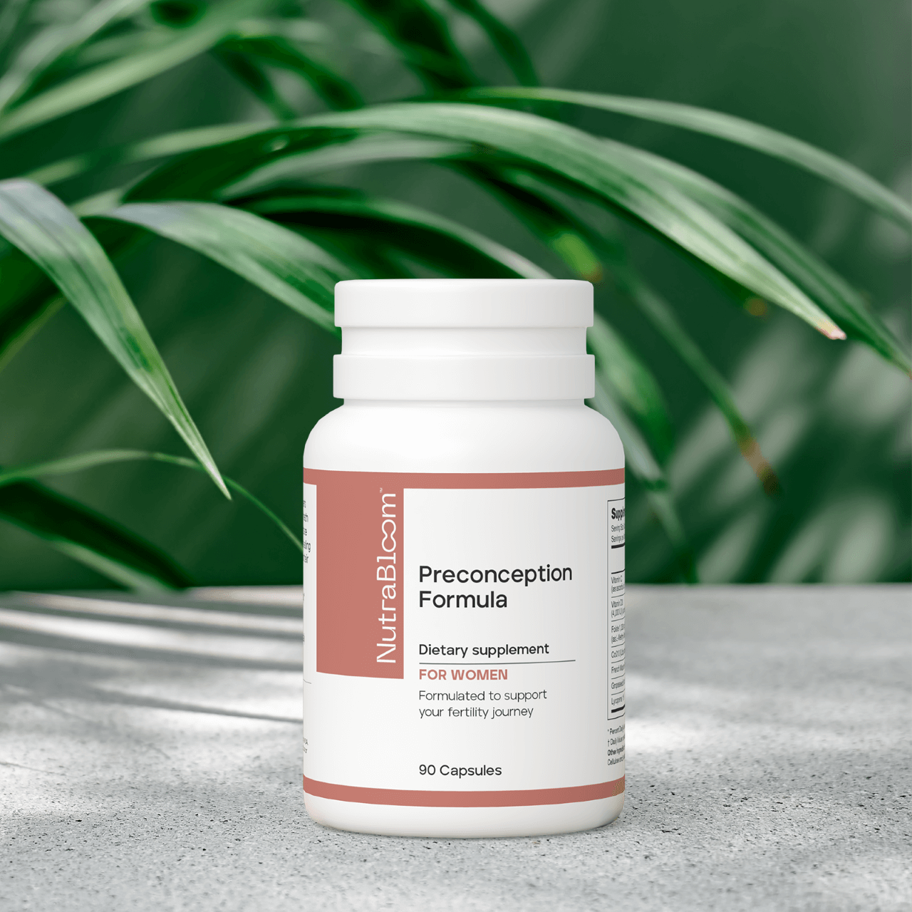 Preconception Formula